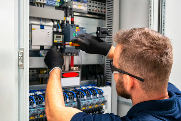 Best Electric Panel Repair  in Dixon, IL